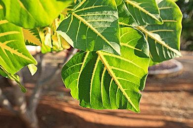 10月新游一览：《OW2》《COD19》等新作很能打 移植也豪华