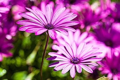 校园模拟养成《实习班主任》12月20日发售 售价19元！